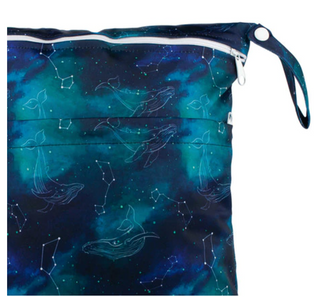 Wet/Dry Bags and Packs