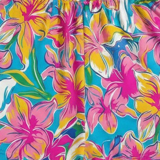 Women's Beachy Hawaiian Floral Romper Painted Hibiscus Spaghetti Straps Rompers Berry Jane