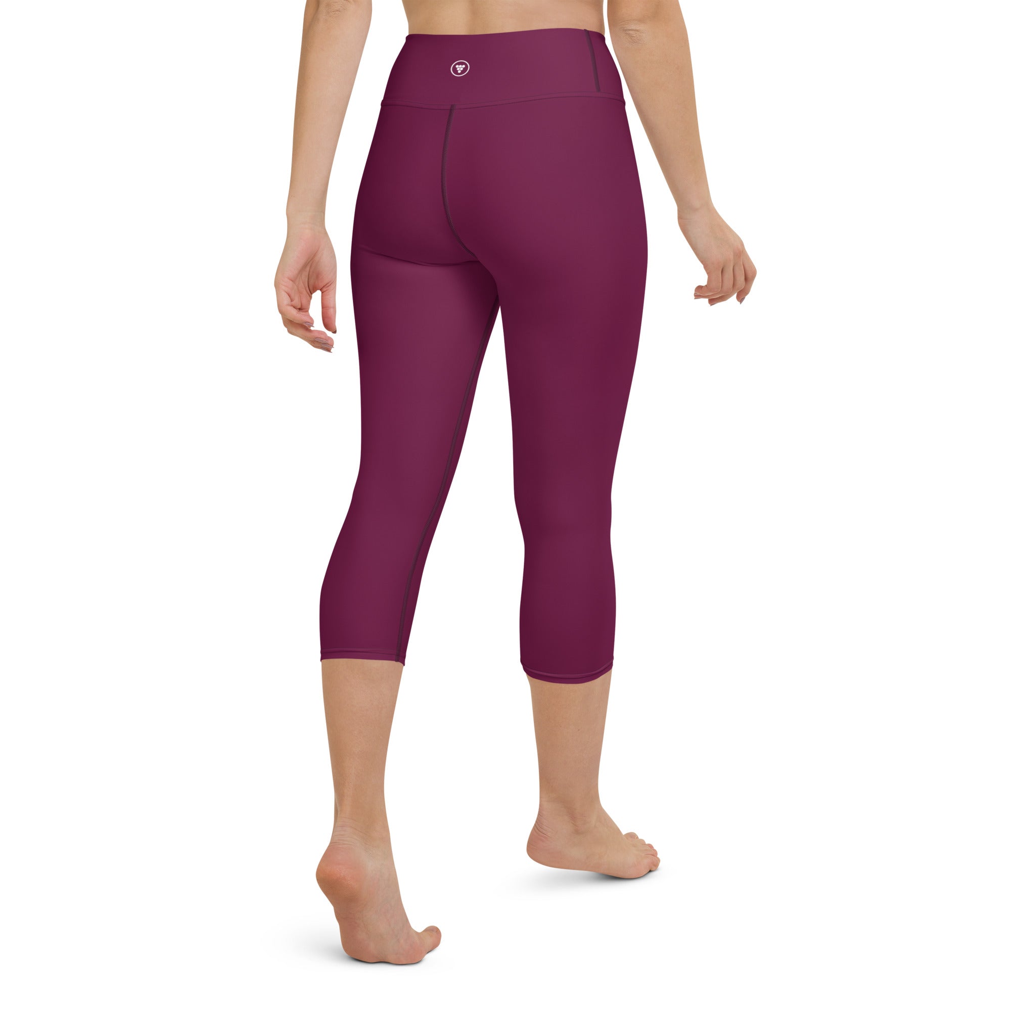 Women's Chlorine Resistant High Waist Modest Swim Leggings UPF 50 Sun –  Berry Jane™